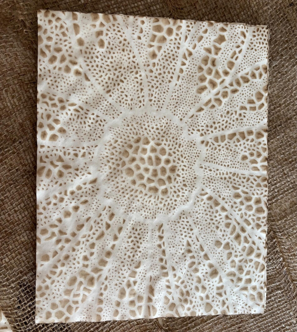Coffee Dyed Daisy